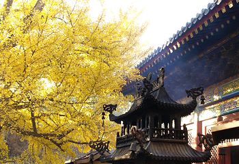红螺寺第 6 张图片