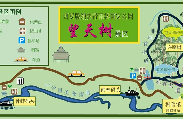 望天树景区大门票