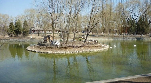 金T湖畔青蛙高尔夫练习场