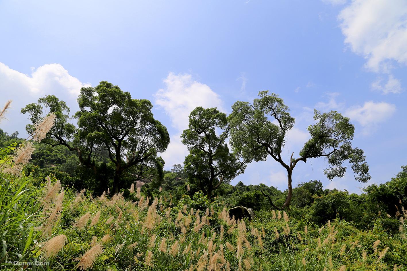 长泰龙凤谷景区的门票,长泰龙凤谷景区的观光,长泰龙凤谷景区的一日游