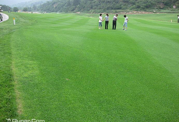 山西吕梁山国际高尔夫俱乐部第 5 张图片