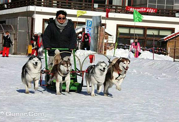 朝阳公园小马冰雪奇园第 1 张图片