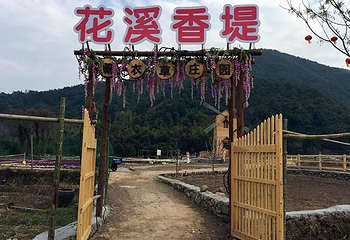花溪香堤薰衣草庄园第 7 张图片