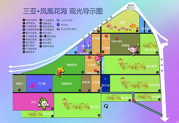 凤凰花海第 16 张图片