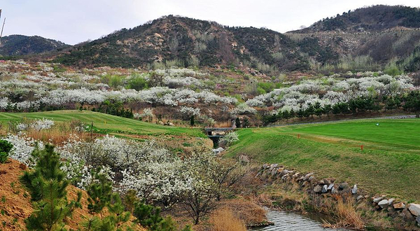 翠园高尔夫俱乐部