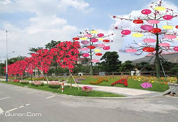 陈村花卉世界第 20 张图片