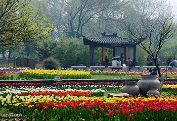 武汉植物园第 30 张图片