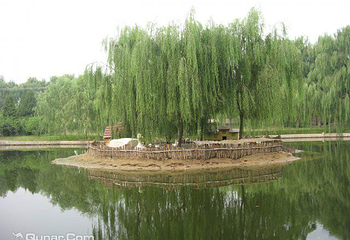 金T湖畔青蛙高尔夫练习场第 3 张图片