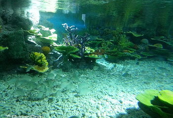 福州罗源湾海洋世界旅游区第 17 张图片