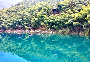 芙蓉谷第 6 张图片