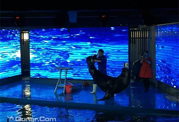 邯郸海洋世界第 6 张图片