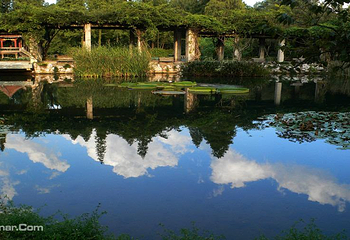 武汉植物园第 32 张图片