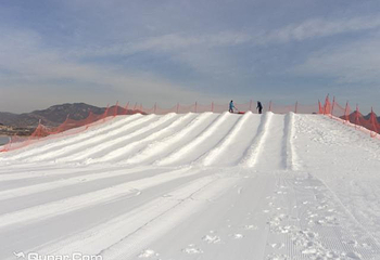 雪野嬉雪园第 5 张图片