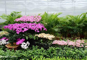 新余今日百花欢乐大世界第 2 张图片