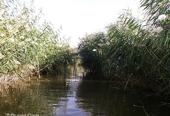 博斯腾湖大河口景区第 31 张图片