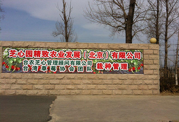 芝心园采摘园第 2 张图片