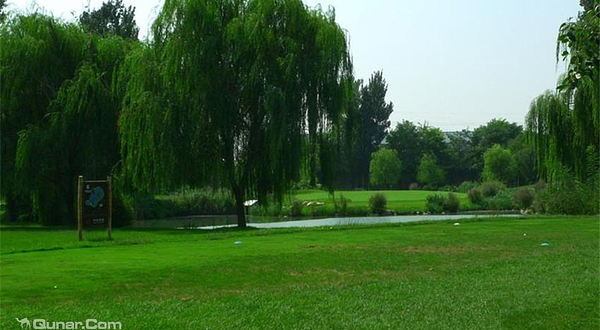 爱尔兰迈克奎德高尔夫俱乐部