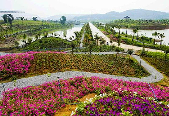 今日百花欢乐大世界第 1 张图片