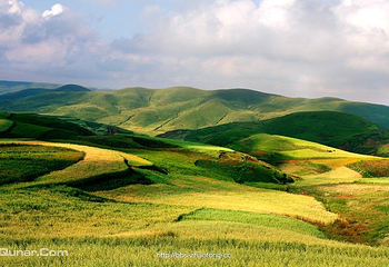 大山包景区第 3 张图片