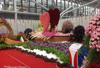 陈村花卉世界第 28 张图片