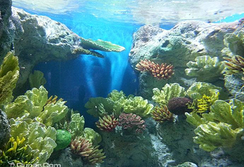 福州罗源湾海洋世界旅游区第 21 张图片
