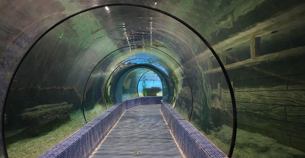 包含景点: 湖州长兴南太湖海洋公园 去哪儿价                  暂无