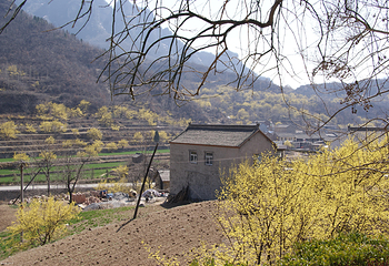 蟒河生态旅游区第 12 张图片