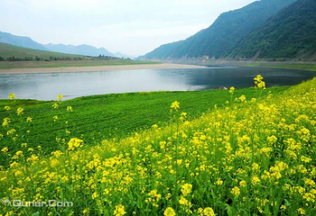 万亩油菜花海第 6 张图片