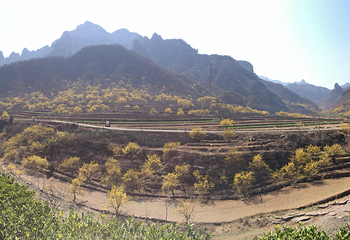 蟒河生态旅游区第 25 张图片