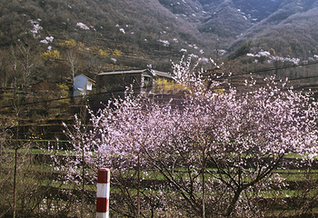 蟒河生态旅游区第 7 张图片