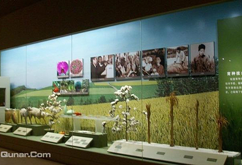 农展馆第 3 张图片