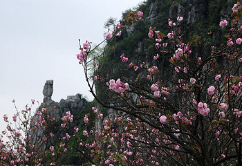南溪山景区第 48 张图片