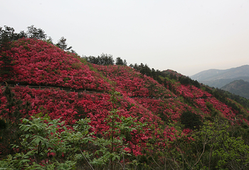 木兰云雾山第 19 张图片