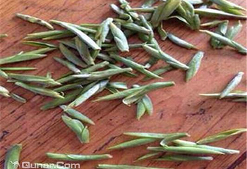 东山常姑娘家采茶体验第 4 张图片