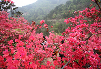 木兰云雾山第 9 张图片