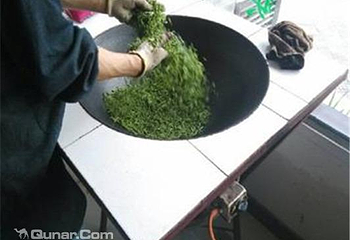 东山常姑娘家采茶体验第 2 张图片