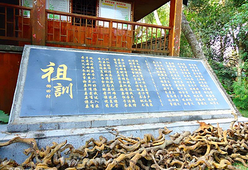 椰田古寨第 6 张图片