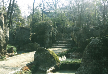 三峡湿地—杨守敬书院第 44 张图片