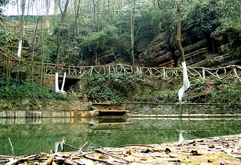 三峡湿地—杨守敬书院第 33 张图片