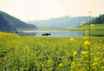 万亩油菜花海第 4 张图片