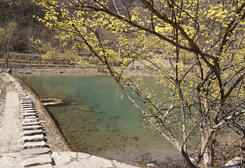 蟒河生态旅游区第 23 张图片