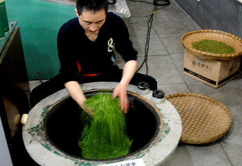 竹叶青生态茗园第 7 张图片
