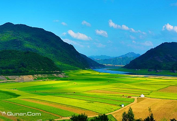 万亩油菜花海第 5 张图片