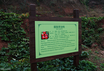 天府庄园第 16 张图片