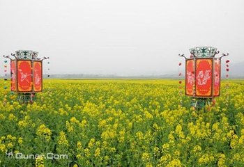 龙凤花海景区第 4 张图片