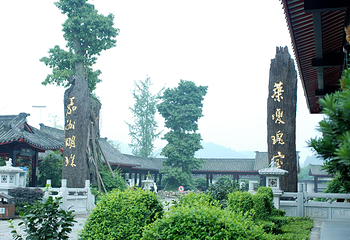乐山乌木文化博览苑第 43 张图片