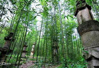 白竹园寺国家森林公园第 12 张图片