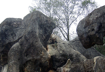三峡湿地—杨守敬书院第 38 张图片