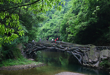 三峡大瀑布第 11 张图片