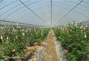 花解语园艺场第 4 张图片